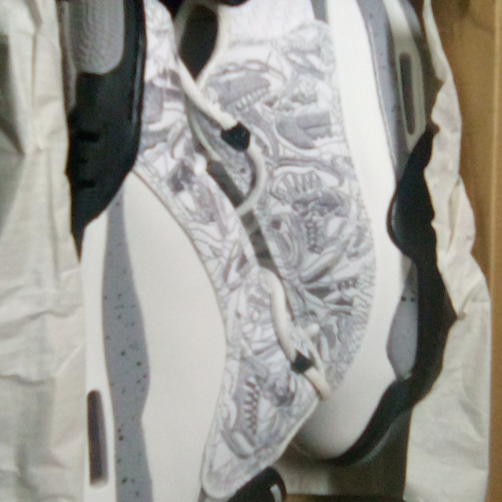 Air Jordan Dub zero